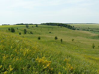 Перейти до джерела Лісостеп